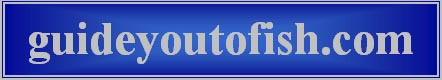 Let Us "Guide You To Fish" - All River Guide Service,       Your Guide Source Since 1994